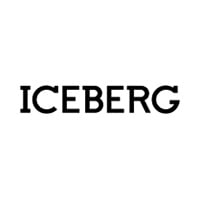 Iceberg internetā