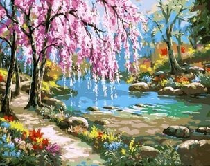 Glezna pēc numuriem TM Tsvetnoy - Sakura pie upes MG6099e 40x50 cm cena un informācija | Gleznas pēc numuriem | 220.lv