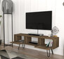 TV galdiņš Kalune Design 756, brūns cena un informācija | TV galdiņi | 220.lv