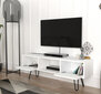 TV galdiņš Kalune Design 756 (II), 120 cm, balts cena un informācija | TV galdiņi | 220.lv