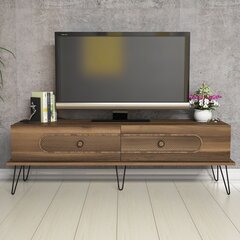 TV galdiņš Kalune Design 845,145 cm, brūns цена и информация | Тумбы под телевизор | 220.lv