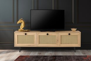 ТВ столик Kalune Design 854(I), 180 см, бежевый цена и информация | Тумбы под телевизор | 220.lv