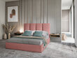 Gulta Micadoni Home Pyla, 160x200cm, rozā cena un informācija | Gultas | 220.lv