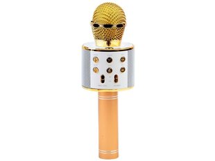 Беспроводной микрофон, золотистый цена и информация | Развивающие игрушки | 220.lv