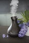 Ultraskaņas ēterisko eļļu smaržas difuzors - mitrinātājs Vonivi Tulip 400 ml цена и информация | Gaisa mitrinātāji | 220.lv
