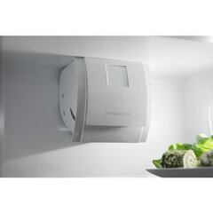 Electrolux LNS8FF19S цена и информация | Холодильники | 220.lv