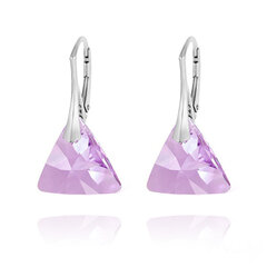 Серебряные серьги Triangle, Violet цена и информация | Серьги | 220.lv