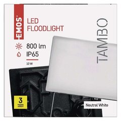 Светодиодный прожектор Tambo 10 Вт, 1 шт. цена и информация | Фонарик | 220.lv