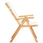vidaXL atgāžami dārza krēsli, 2 gab., brūns akācijas masīvkoks cena un informācija | Dārza krēsli | 220.lv