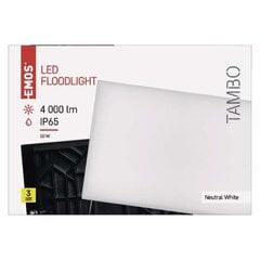 LED prožektors TAMBO 50W(430W) 4000 lm NW цена и информация | Уличное освещение | 220.lv