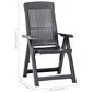 vidaXL atgāžami dārza krēsli, 2 gab., antracītpelēka plastmasa cena un informācija | Dārza krēsli | 220.lv