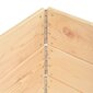 vidaXL puķu kastes, 3 gab., 50x150 cm, priedes masīvkoks цена и информация | Balkona kastes | 220.lv