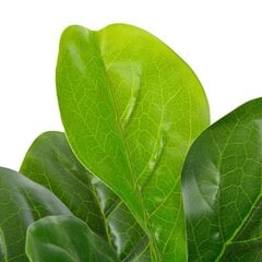 vidaXL mākslīgais augs, lirveida fikuss ar podiņu, zaļš, 90 cm цена и информация | Искусственные цветы | 220.lv