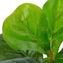 vidaXL mākslīgais augs, lirveida fikuss ar podiņu, zaļš, 45 cm cena un informācija | Mākslīgie ziedi | 220.lv