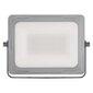 LED prožektors ILIO 20W(170W) 1600 lm NW cena un informācija | Lukturi | 220.lv