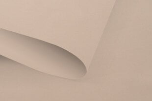 Gaismu necaurlaidīgas sienas rullo žalūzijas Blackout 90x240 cm, pg-12 smilškrāsas цена и информация | Рулонные шторы | 220.lv