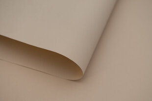 Sienas rullo žalūzijas ar audumu Dekor 100x170 cm, d-20 smilškrāsas cena un informācija | Rullo žalūzijas | 220.lv