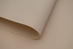 Sienas rullo žalūzijas ar audumu Dekor 160x170 cm, d-20 smilškrāsas цена и информация | Рулонные шторы | 220.lv