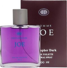 Туалетная вода Christopher Dark Joe EDT для мужчин, 100 мл цена и информация | Мужские духи | 220.lv