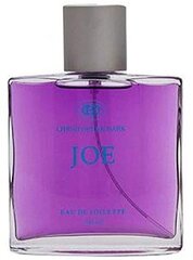 Tualetes ūdens Christopher Dark Joe EDT vīriešiem 100 ml cena un informācija | Vīriešu smaržas | 220.lv