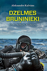 Dzelmes bruņinieki цена и информация | Исторические книги | 220.lv