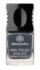 Nagu Laka Alessandro Nail Polish New York Grey, 10ml cena un informācija | Nagu lakas, stiprinātāji | 220.lv