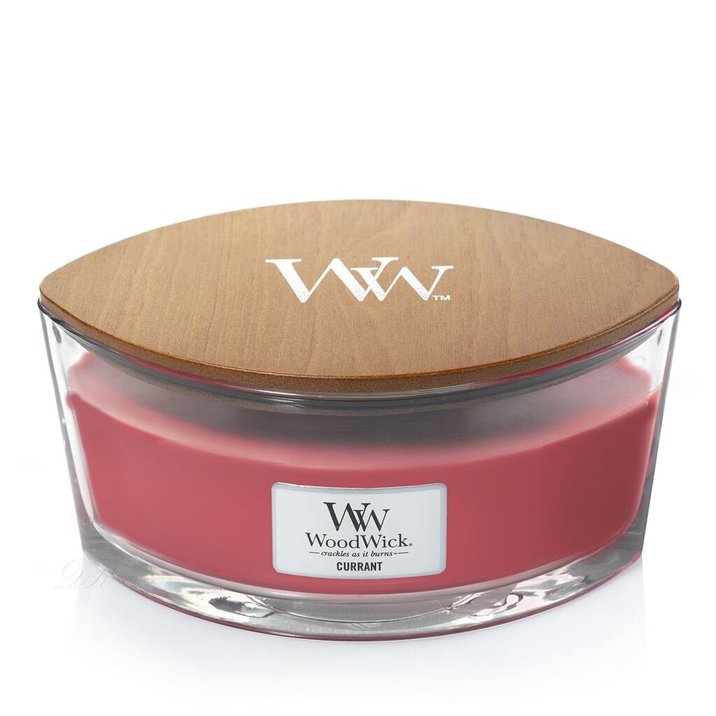 WoodWick aromātiska svece Currant, 453 g cena un informācija | Sveces un svečturi | 220.lv