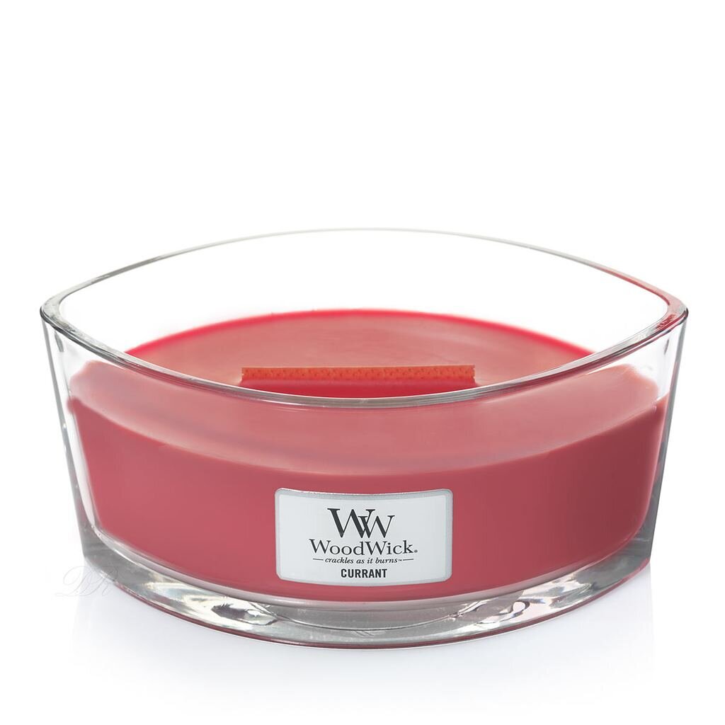 WoodWick aromātiska svece Currant, 453 g cena un informācija | Sveces un svečturi | 220.lv