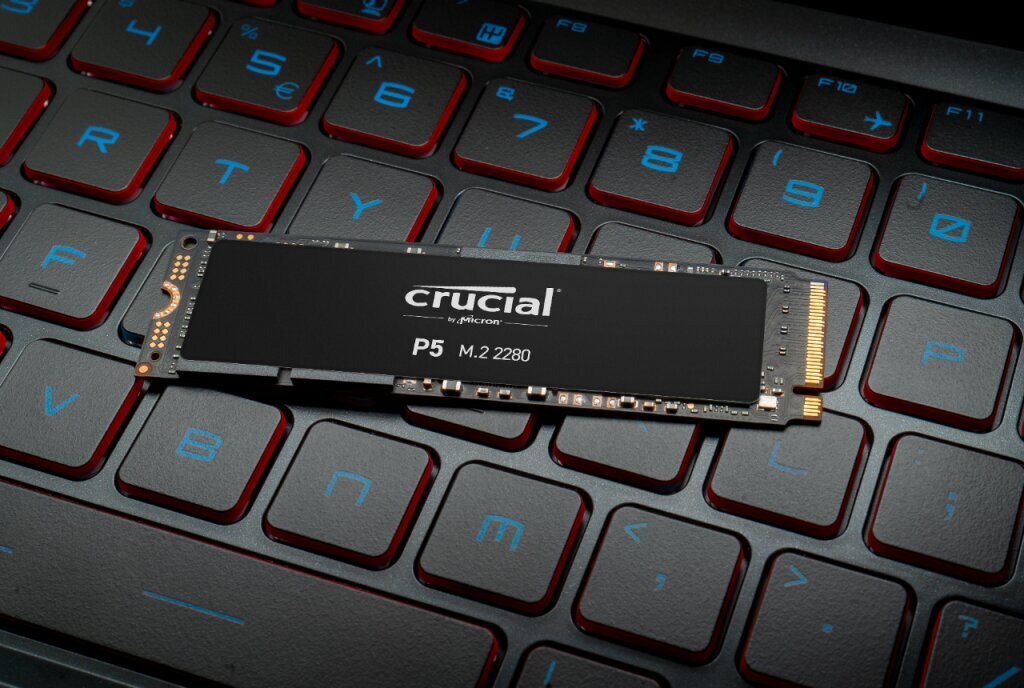 Crucial CT250P5SSD8 цена и информация | Iekšējie cietie diski (HDD, SSD, Hybrid) | 220.lv