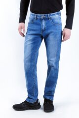 Джинсы Evin цена и информация | Мужские джинсы | 220.lv
