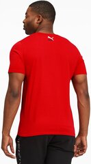 Футболка Puma Elevate Graphic Tee High Red цена и информация | Мужские футболки | 220.lv