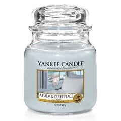 Ароматическая свеча Yankee Candle A Calm & Quiet Place 623 г цена и информация | Подсвечники, свечи | 220.lv