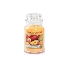 Aromātiska svece Yankee Candle Mango Peach Salsa 623 g cena un informācija | Sveces un svečturi | 220.lv