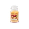 Aromātiska svece Yankee Candle Mango Peach Salsa 623 g