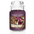 Aromātiska svece Yankee Candle Moonlit Blossoms, 623 g