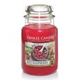 Aromātiska svece Yankee Candle Red Raspberry 623 g