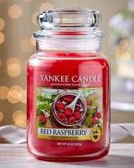 Aromātiska svece Yankee Candle Red Raspberry 623 g cena un informācija | Sveces un svečturi | 220.lv