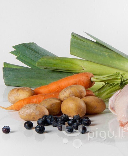 Olivers bezgraudu barība ar vistu Adult Chicken Grain Free M, 12 kg цена и информация | Sausā barība suņiem | 220.lv