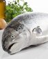 Olivers bezgraudu barība ar lasi Adult Fish Grain Free S, 4 kg цена и информация | Sausā barība suņiem | 220.lv