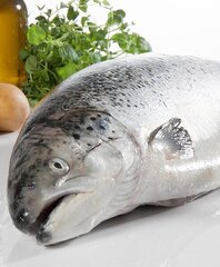 Barība pieaugušiem kaķiem Olivers ar lasi Cat Sensitive Digestion Salmon Grain Free, 4 kg cena un informācija | Sausā barība kaķiem | 220.lv