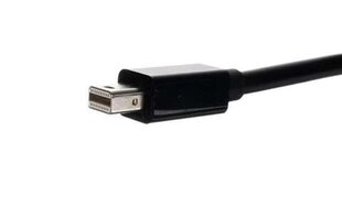 Adapteris - mini DP - HDMI kabelis cena un informācija | Adapteri un USB centrmezgli | 220.lv