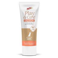 Паста для кошек Prins Play & Care Cat SALMON, 75 мл цена и информация | Лакомства для кошек | 220.lv