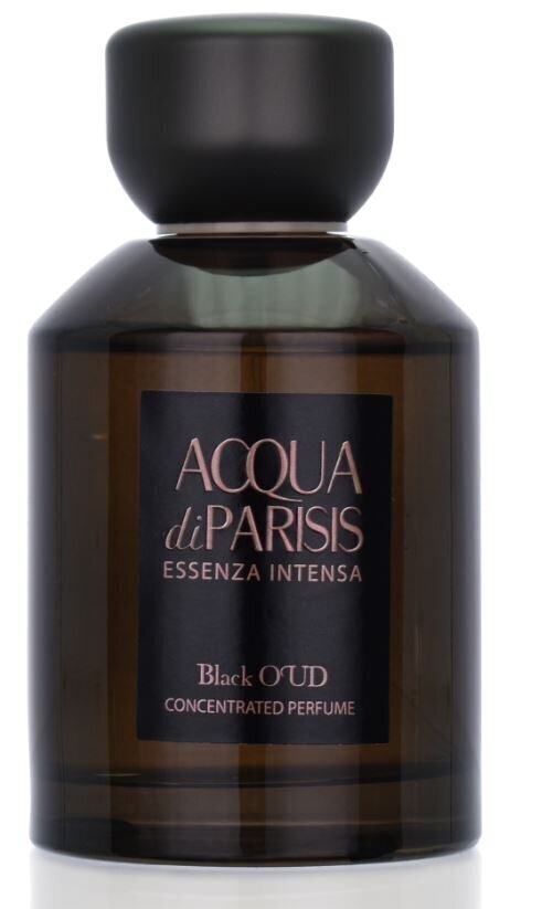 Parfimērijas ūdens Reyane Tradition Acqua Di Paris Essenza Intensa Black Oud EDP vīriešiem, 100ml cena un informācija | Vīriešu smaržas | 220.lv