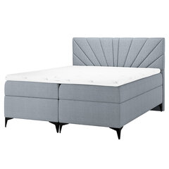 Кровать Selsey Tomene, 160x200 см, серая цена и информация | Кровати | 220.lv