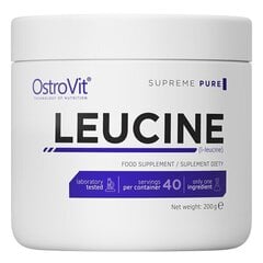 OstroVit Pure Leucine, 200 g cena un informācija | Aminoskābes | 220.lv