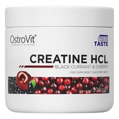 OstroVit Creatine HCL, 300 g cena un informācija | Kreatīni | 220.lv