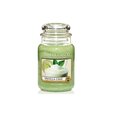 Aromātiska svece Yankee Candle Vanilla Lime, 623 g