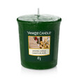 Aromātiskā svece Yankee Candle Singing Carols 49 g