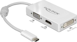 Delock 63924 cena un informācija | Adapteri un USB centrmezgli | 220.lv