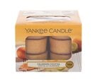 Aromātiskas tējas sveces Yankee Candle Calamansi Cocktail 9,8 g, 12 gab.